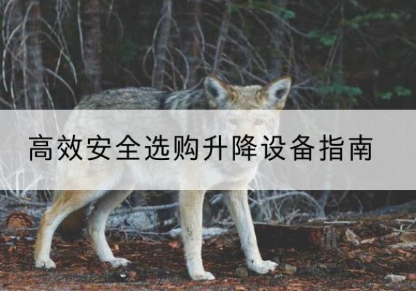 河北区升降货梯厂家推荐-*安全选购升降设备指南