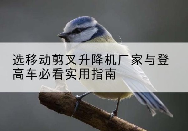 河北区电动升降机厂家-选移动剪叉升降机厂家与登高车必看实用指南